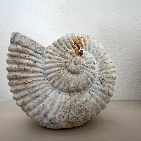 Haus-utlande-whg-03 Appartement Sankt Peter-Ording